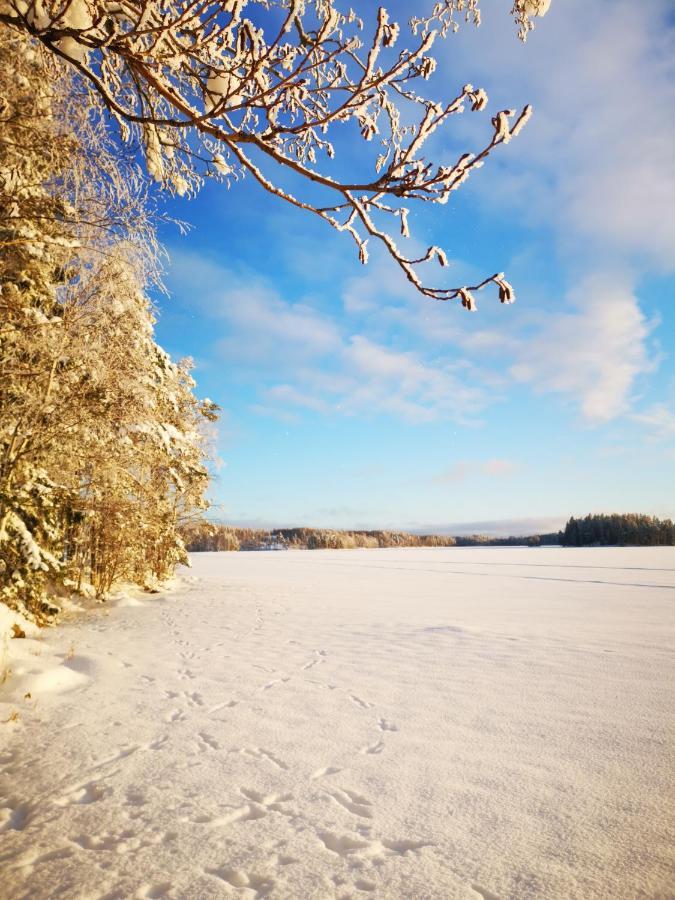 Patalaiska Cottage With Private Beach Руоколахти Екстериор снимка